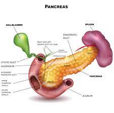 سرطان پانکراس در چه سنی رخ می دهد