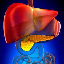 چگونگی تشخیص سرطان پانکراس | چه عواملی باعث سرطان پانکراس می شود | چه چیزی باعث سرطان پانکراس می شود | چه غذایی برای سرطان پانکراس مفید