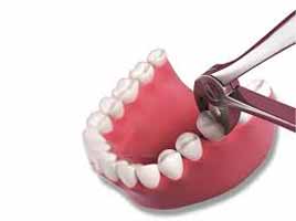دندانپزشکی در افراسیابی