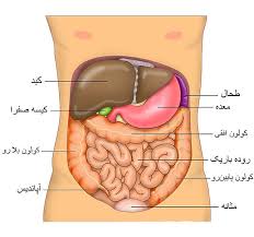 فوق تخصص گوارش و معده در تهرانپارس | فوق تخصص گوارش و کبد در تهرانپارس | بهترین دکتر گوارش و معده در تهرانپارس | متخصص گوارش و کبد تهرانپارس