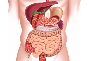 دکتر فوق تخصص گوارش در اندیمشک