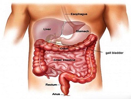 دکتر فوق تخصص گوارش در شهرضا