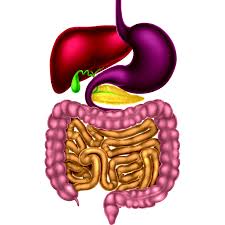 دکتر فوق تخصص گوارش در قم