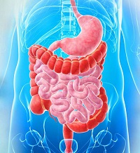 دکتر فوق تخصص گوارش در نیشابور