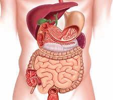 دکتر فوق تخصص گوارش در کاشمر