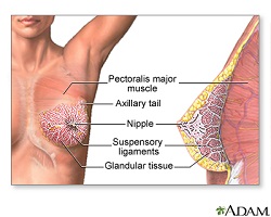 breast cancer surgeon halifax