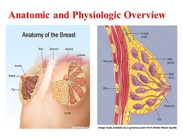 breast cancer surgeon jefferson