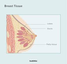 breast cancer surgeon royal marsden