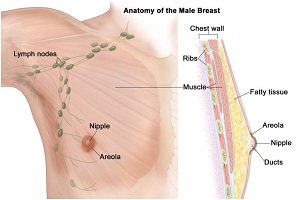 do you go to surgeon or oncologist first for breast cancer