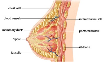 stomach cancer surgeon job