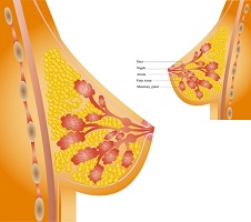 stomach cancer surgeon university