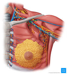 stomach cancer surgeon video دانلود