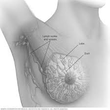 what kind of surgeon is best for breast cancer